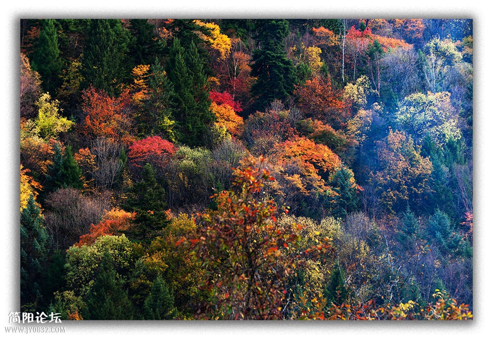 DSC_8443.jpg