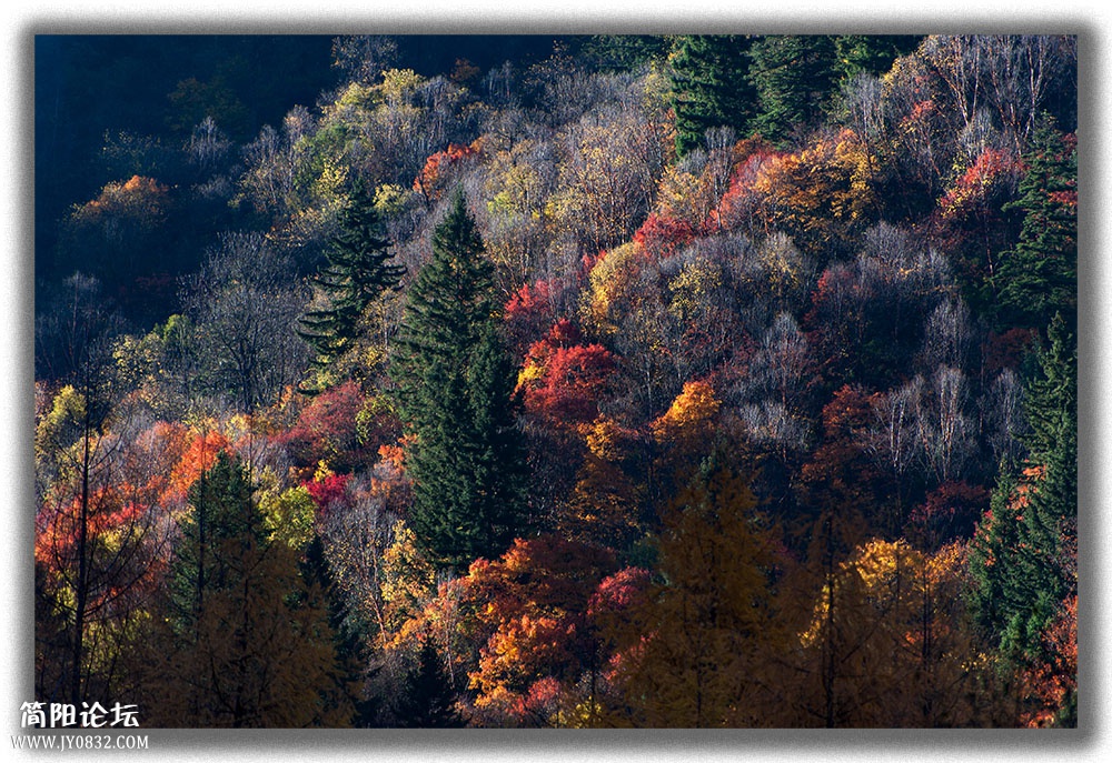 DSC_8699.jpg