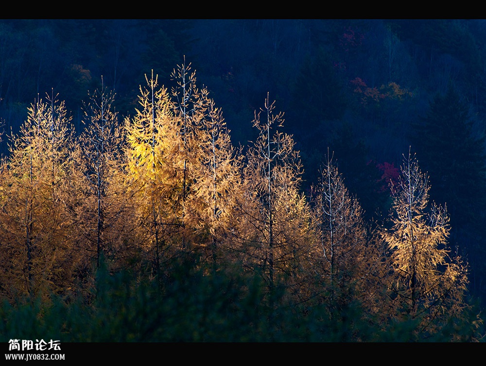 DSC_8705 (2).jpg