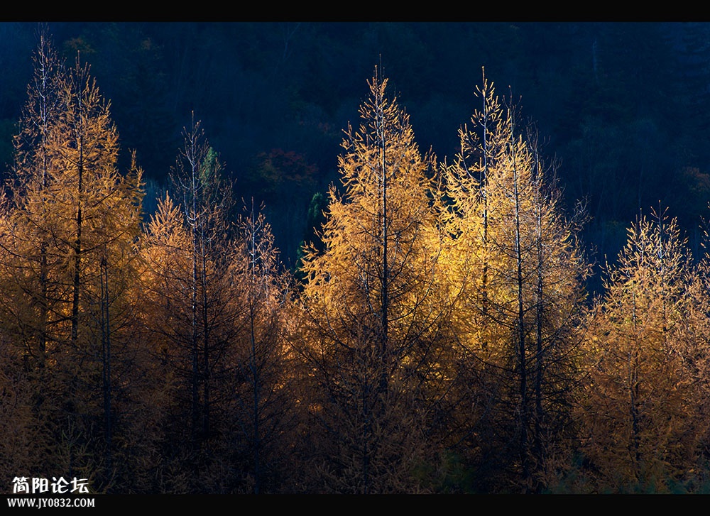 DSC_8706.jpg