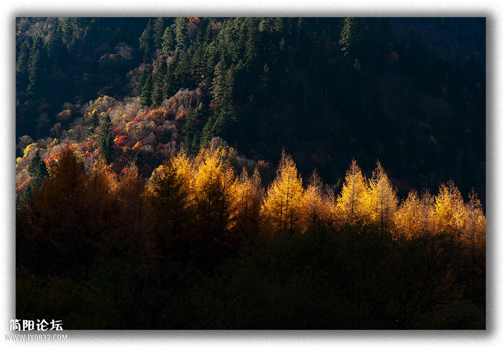 DSC_8720.jpg