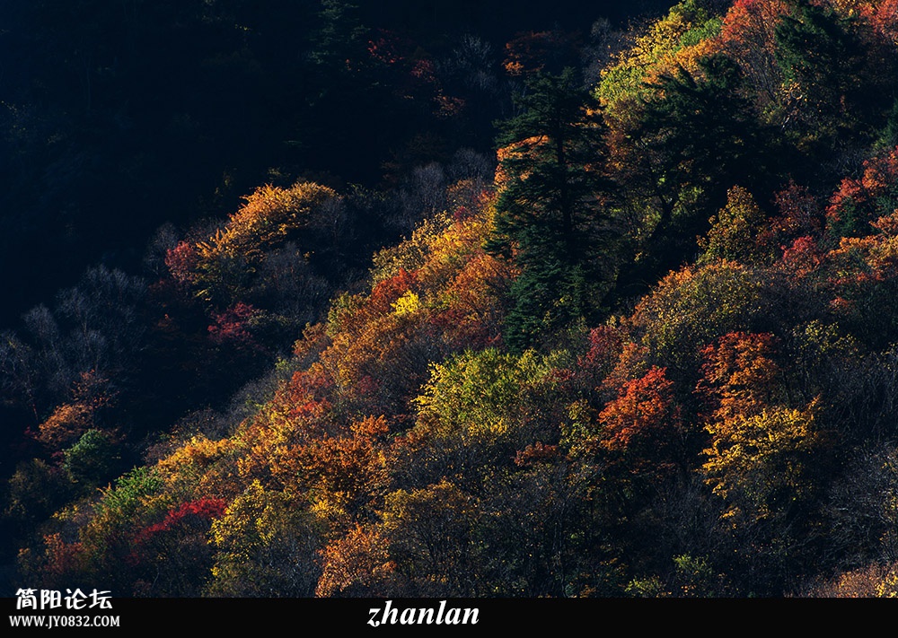 DSC_8837.jpg