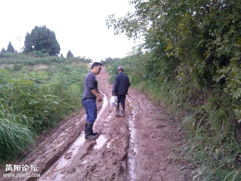 风雨无阻.jpg