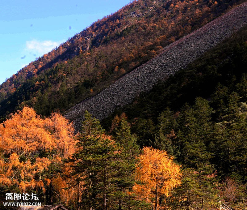 ZLS_8416_副本.jpg
