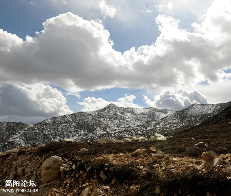 ZLS_8463_副本.jpg