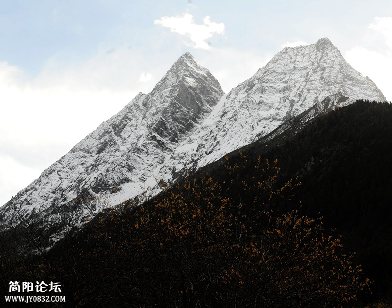 ZLS_9030_副本.jpg