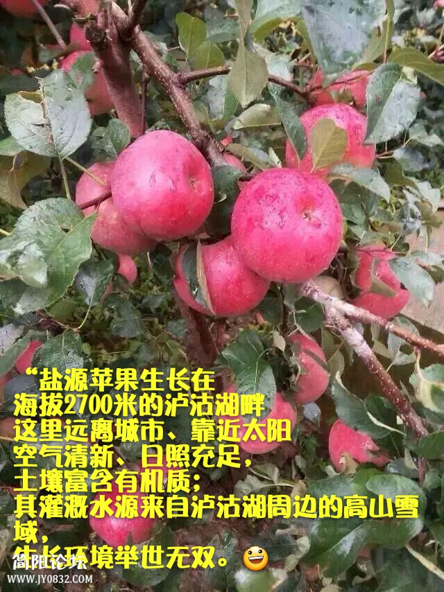 mmexport1447334855650_mh1447335510567.jpg