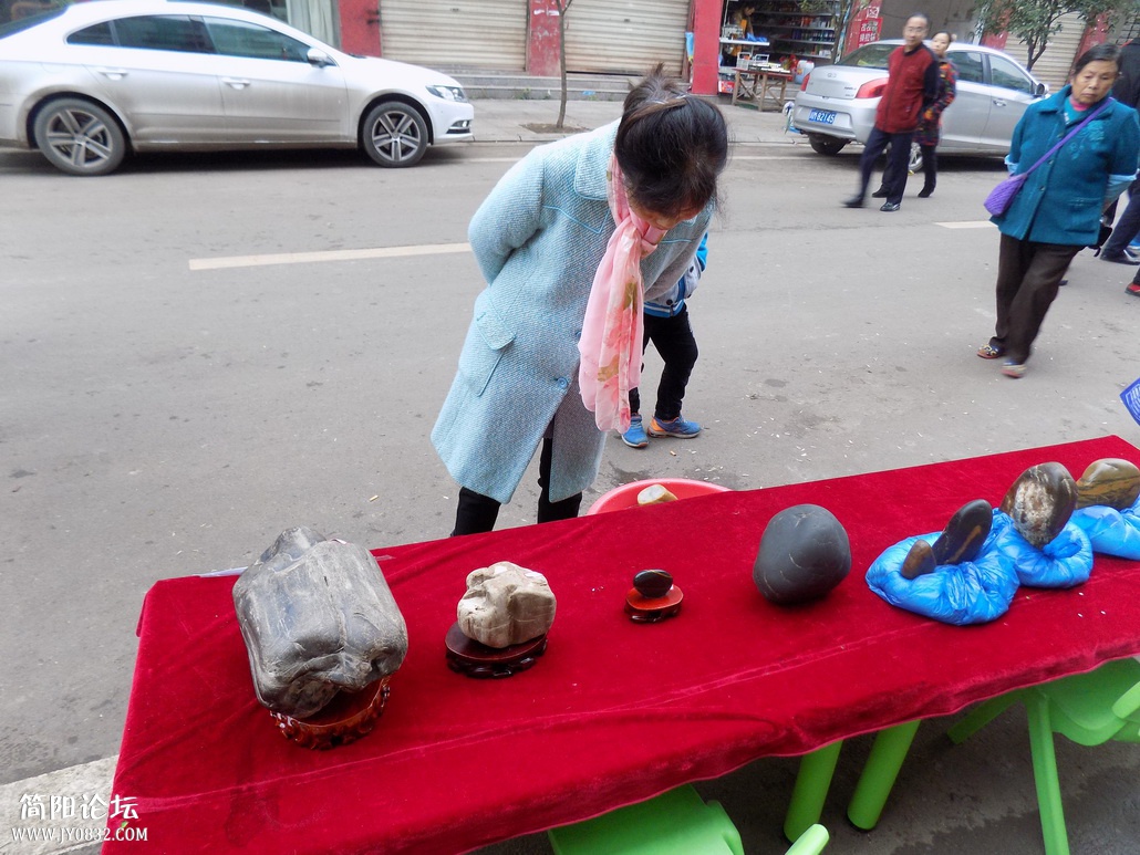 DSCN0336.JPG