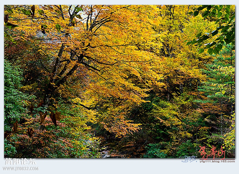 光雾山——11.jpg