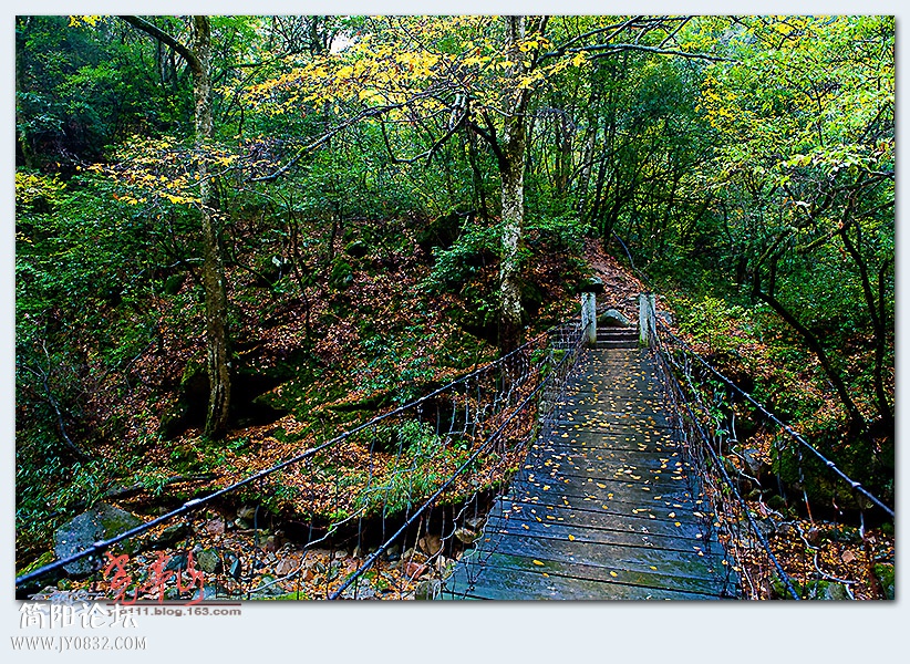 光雾山——14.jpg