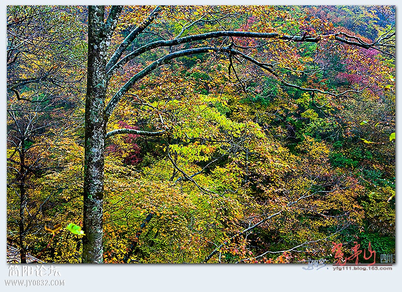 光雾山——16.jpg