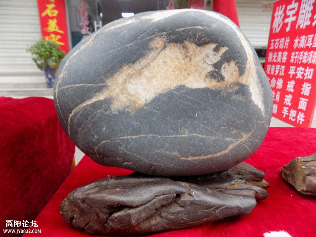 DSCN0400.JPG