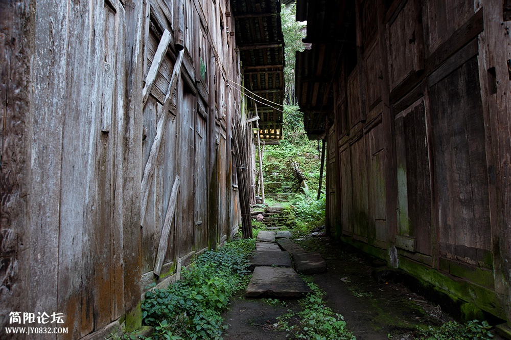 DSC_9665.jpg