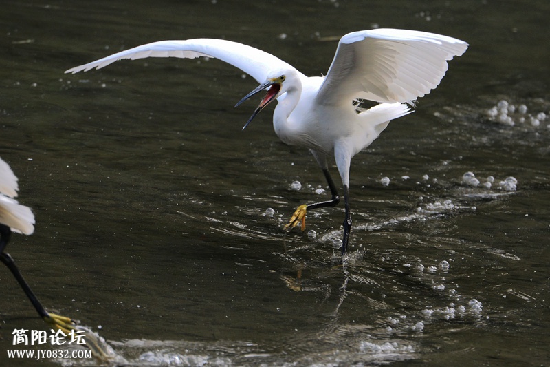 DSC_8660_副本_副本 DSC_8660_副本_副本4.jpg