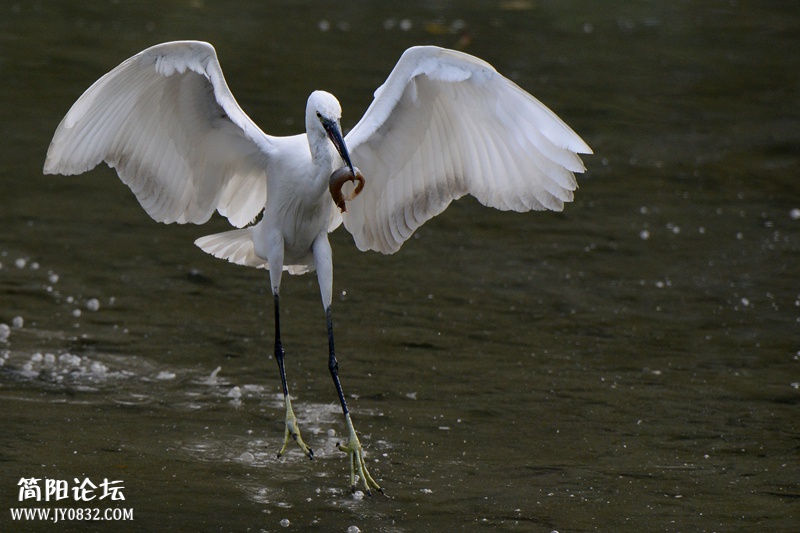 DSC_8756_副本_副本_副本 DSC_8756_副本_副本_副本2.jpg