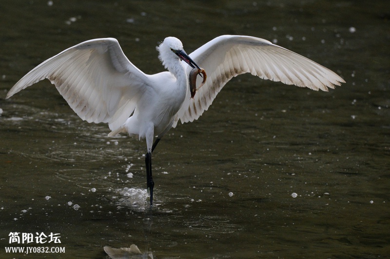 DSC_8757_副本_副本_副本_副本 DSC_8757_副本_副本_副本_副本3.jpg