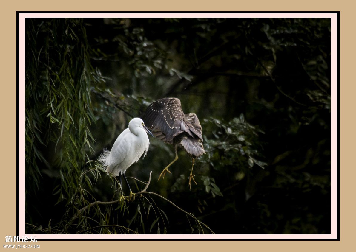 DSC_2910.jpg1.jpg