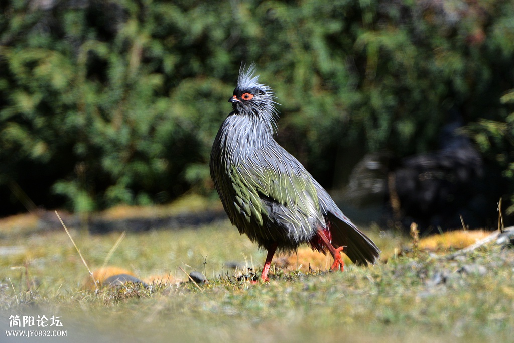 DSC_7250_副本 DSC_7250_副本7.jpg