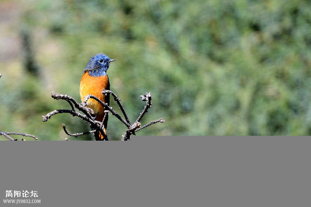 DSC_7360_副本 DSC_7360_副本3.jpg