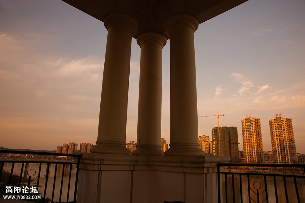 DSC_0459.jpg