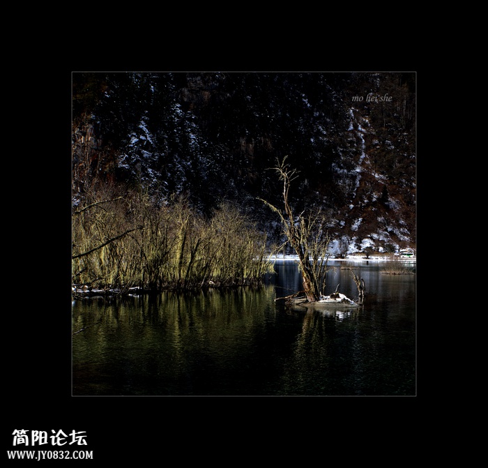 DSC03586a--0.jpg