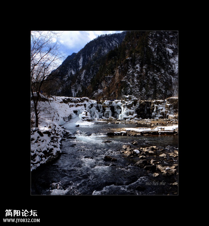 DSC03533a--0.jpg