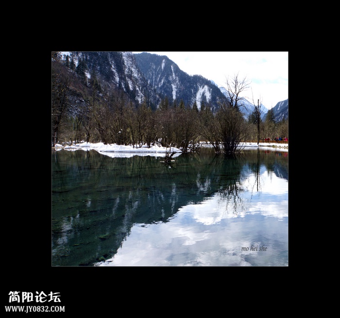 DSC03603a--0.jpg