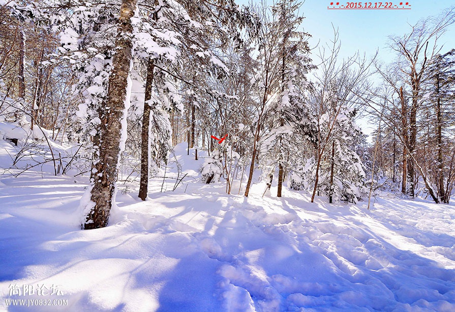 DSC_0003 01.jpg