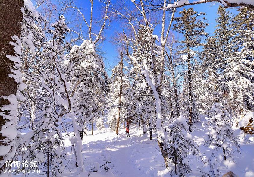 DSC_0073 01.jpg