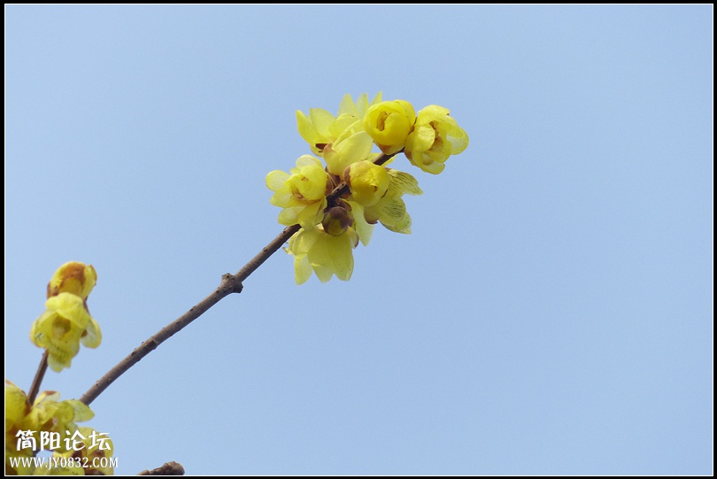 P1760713 _副本.jpg