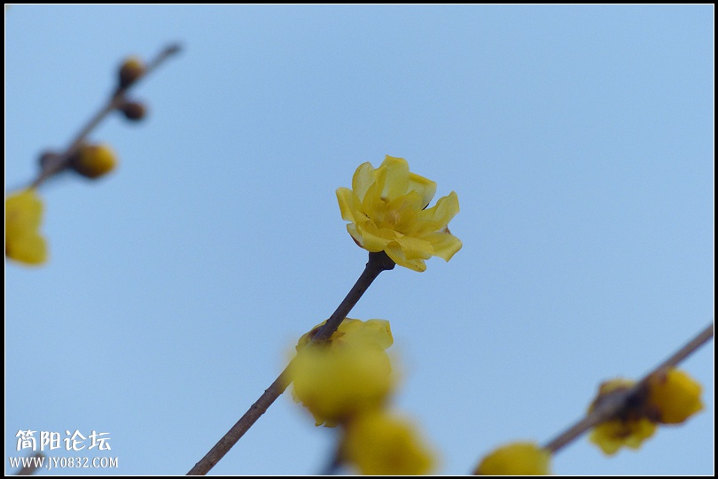 P1760718_副本.jpg