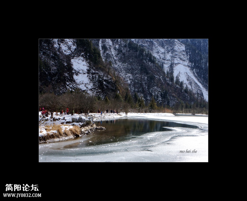 DSC03520a--0.jpg