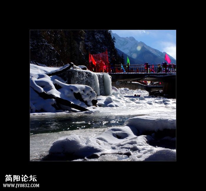 DSC03936aa--0.jpg