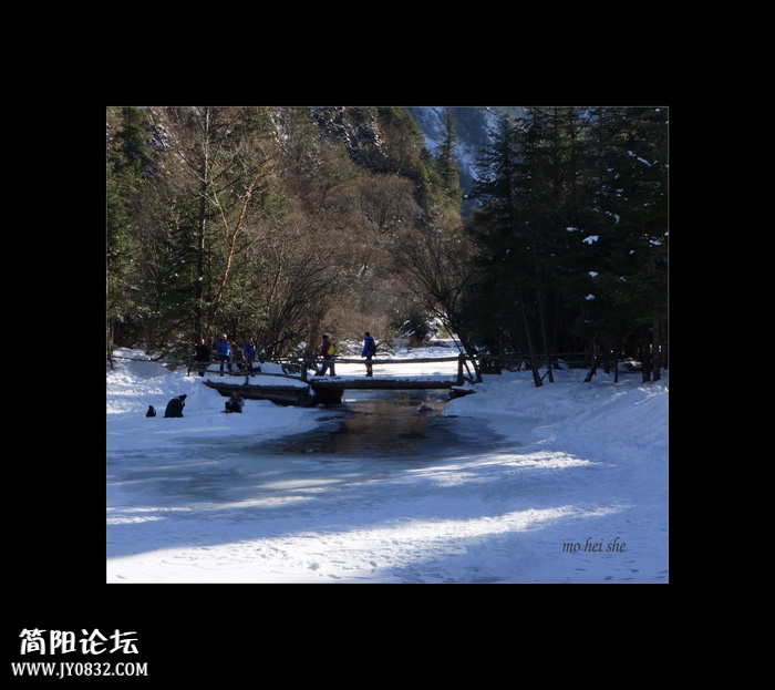 DSC04026a--0.jpg