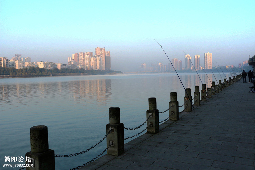 IMG_2960.jpg