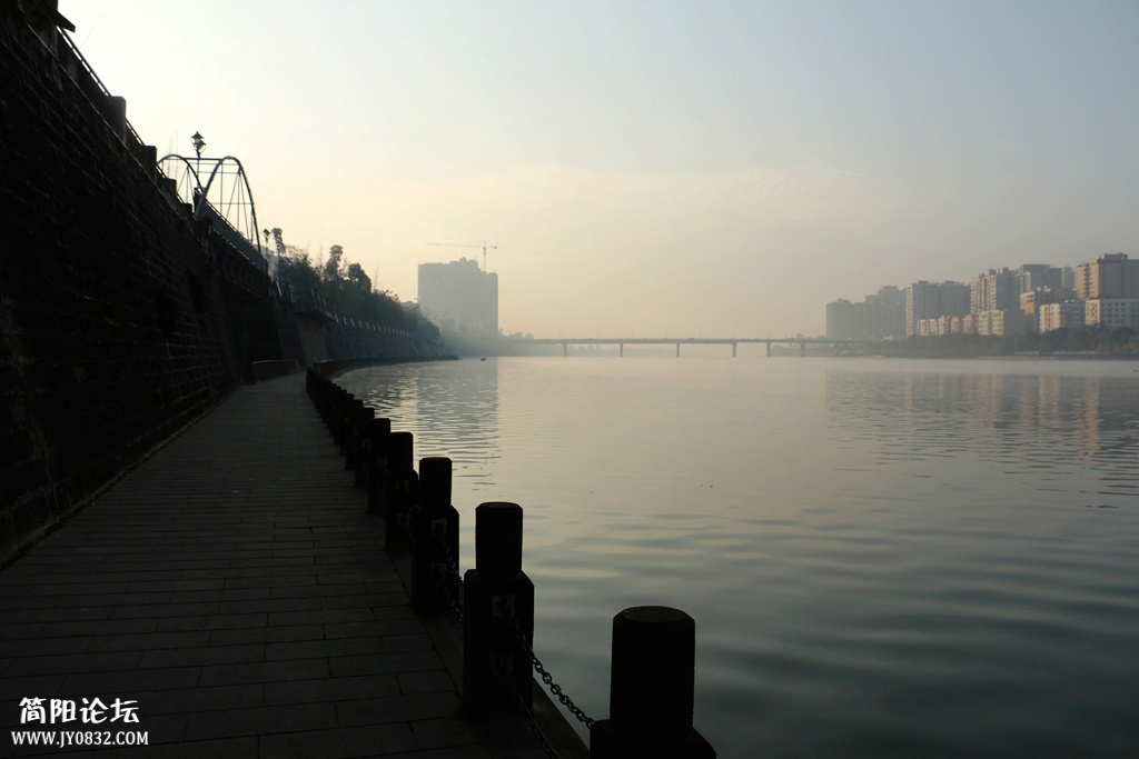 IMG_2984.jpg