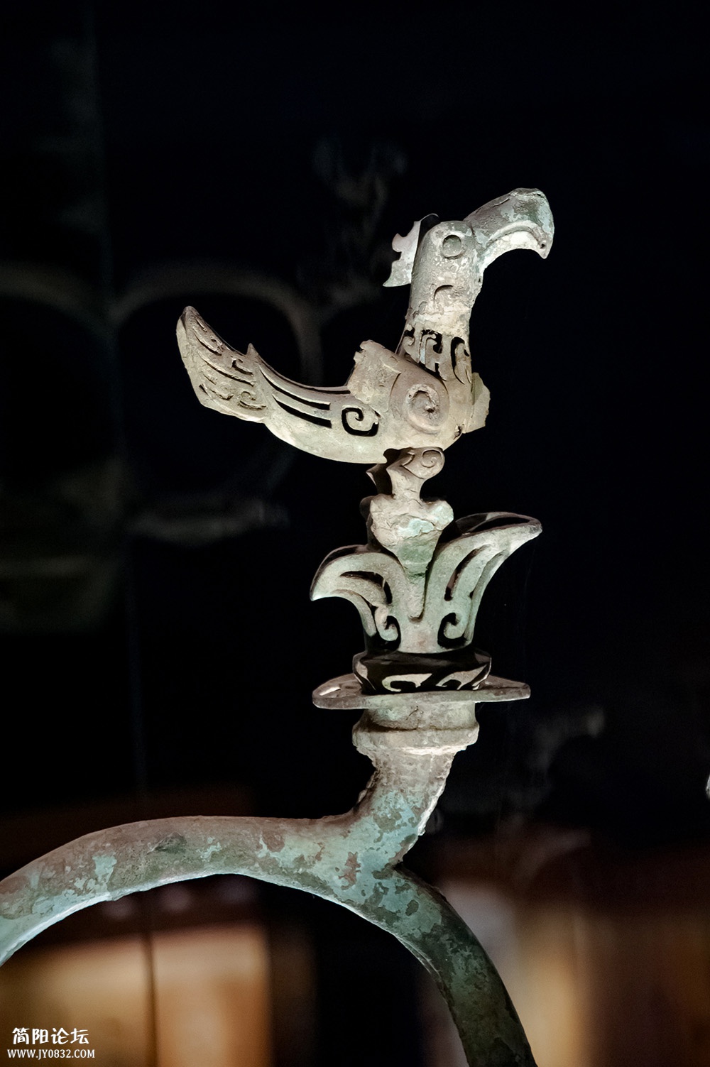 DSC_1306.jpg