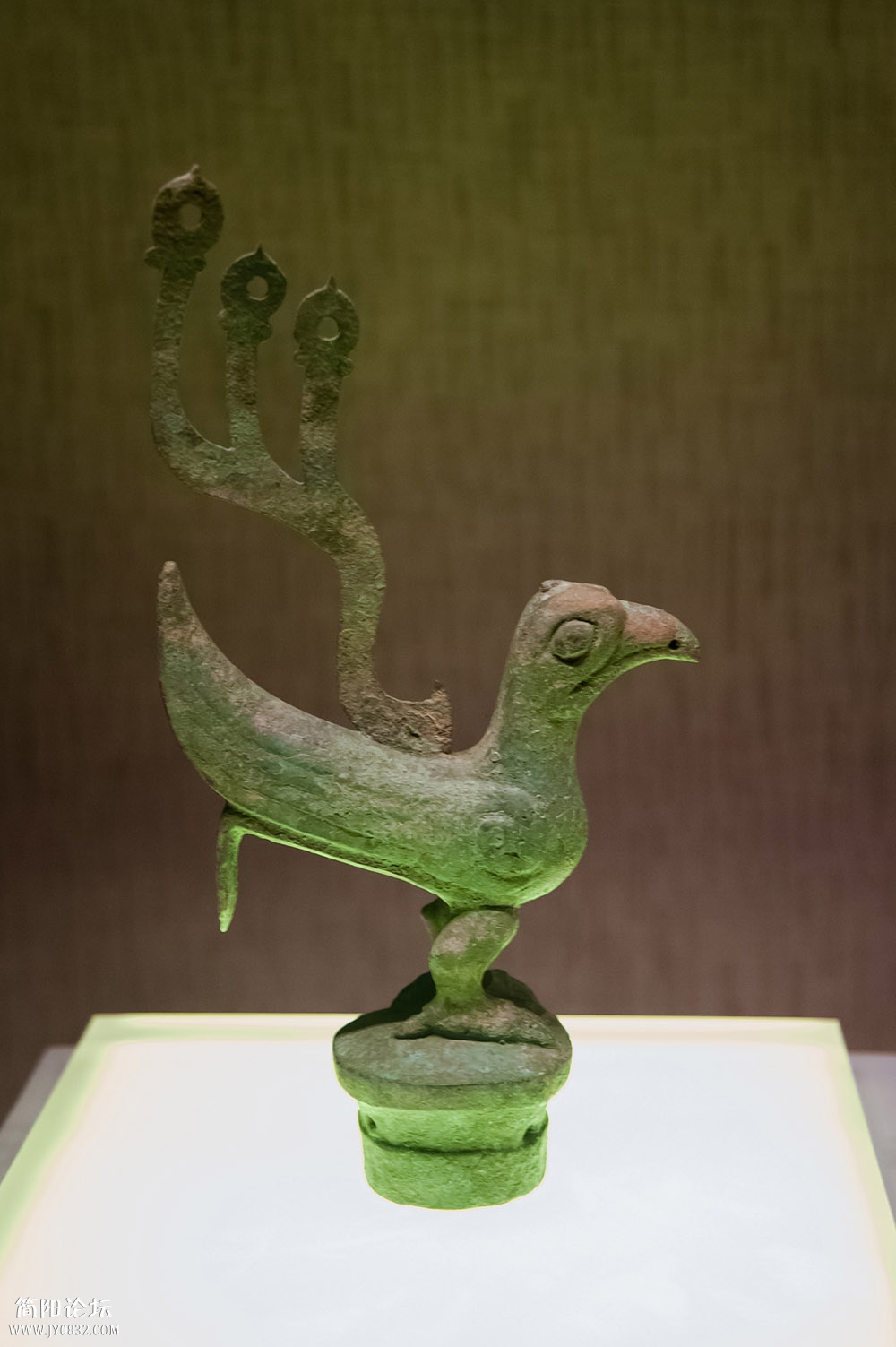 DSC_1371.jpg