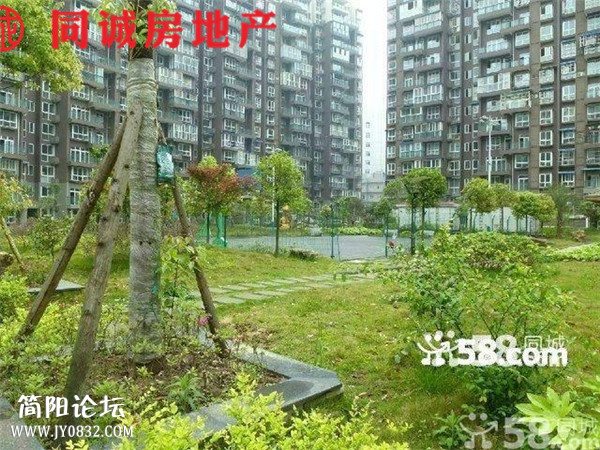 n_s12248720082260001133.jpg