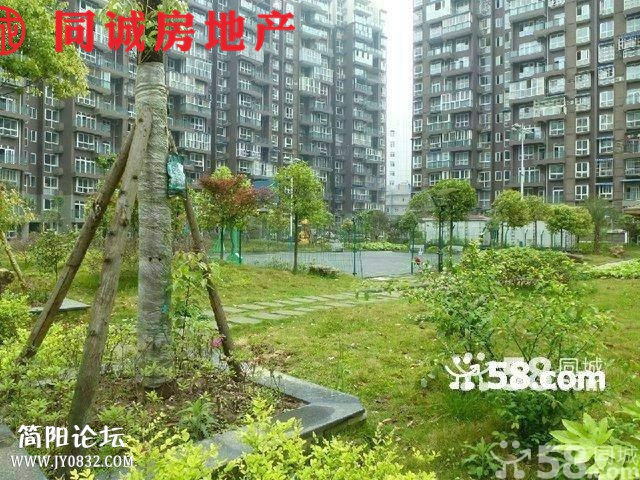n_s12248720082260001133.jpg