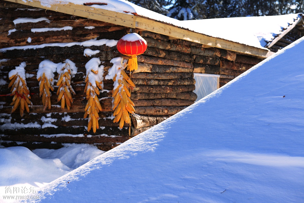 牧雪山村   王鹰 (1).jpg