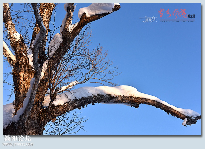 雪乡风光——02.jpg