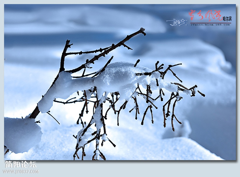 雪乡风光——11.jpg