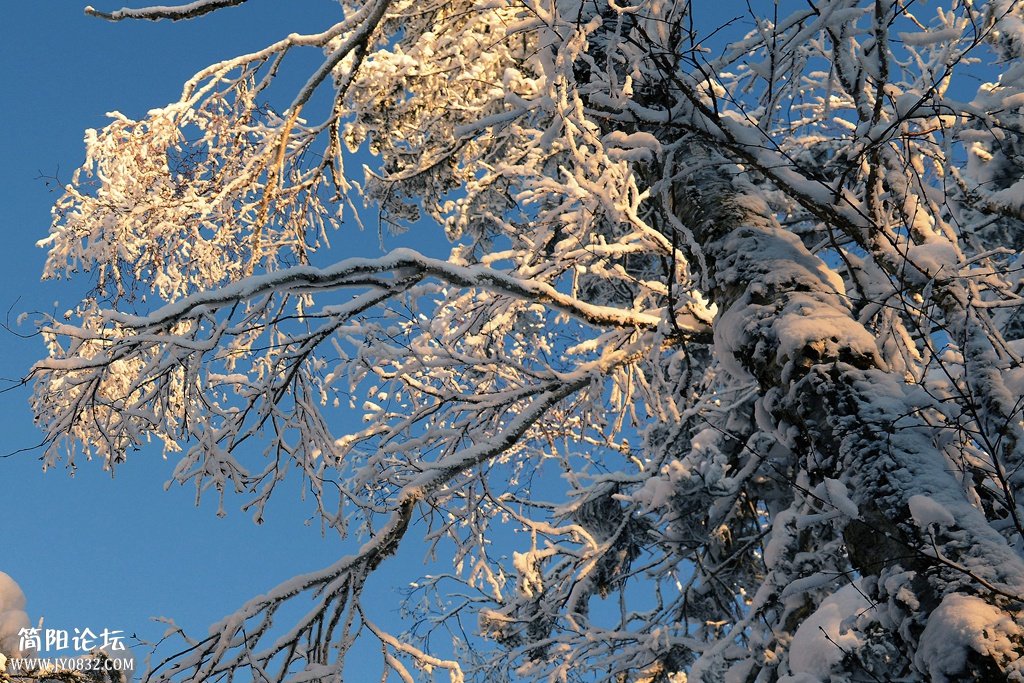 雪谷夕阳   王鹰 (3).jpg