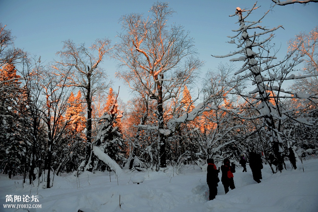雪谷夕阳   王鹰 (6).jpg