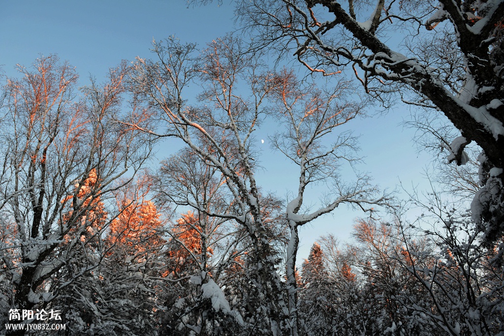 雪谷夕阳   王鹰 (7).jpg