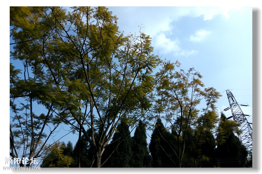 IMG_20160117_150257_副本1.jpg