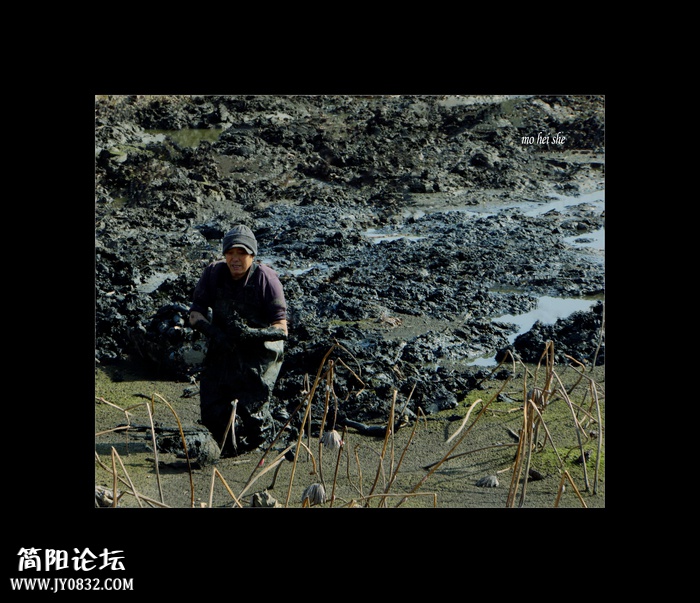 DSC06453--0.jpg