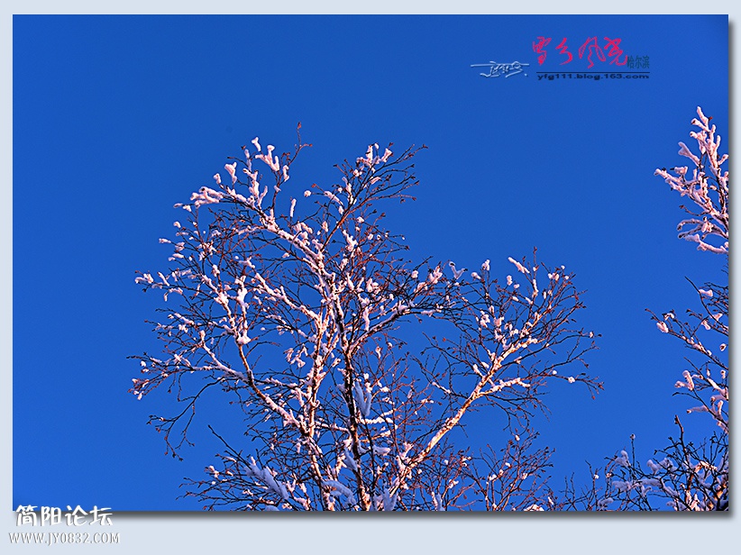 哈雪梦境（三）——03.jpg