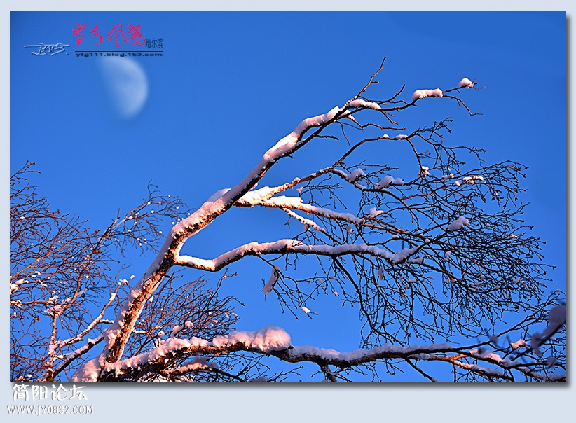 哈雪梦境（三）——04.jpg